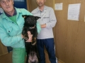 Câini adoptați din padocul Tomești, 19-20 mai 2015