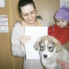 Câini adoptați, martie 2015