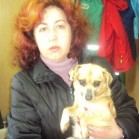 Câini adoptați din padocul Tomești