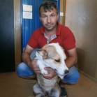 Adopții din Adăpostul municipal Iași, 8 iunie 2015