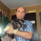 Adopțiile continuă, august 2015