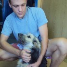 Adopțiile continuă