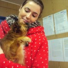 O parte din adopții, octombrie 2015