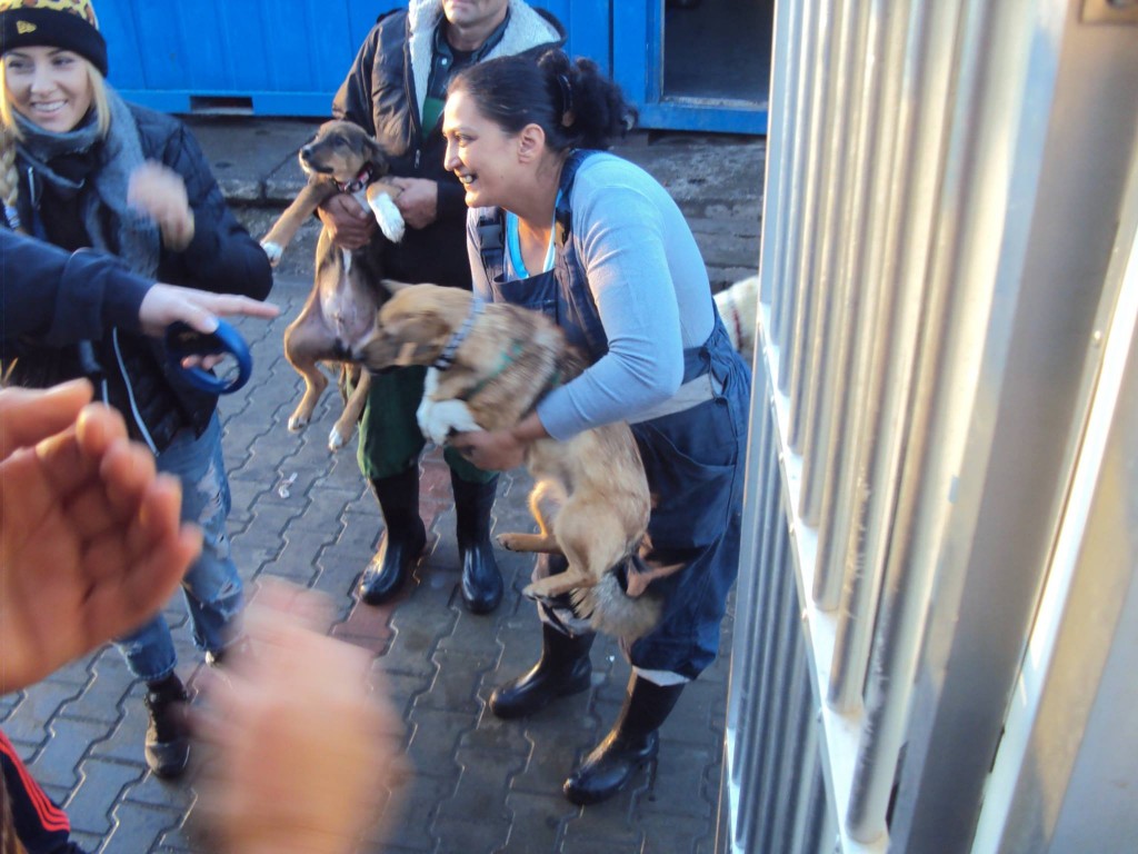 Au plecat și Lucky, Rico, Rysa, Inna, Tess, Flory și Bruny