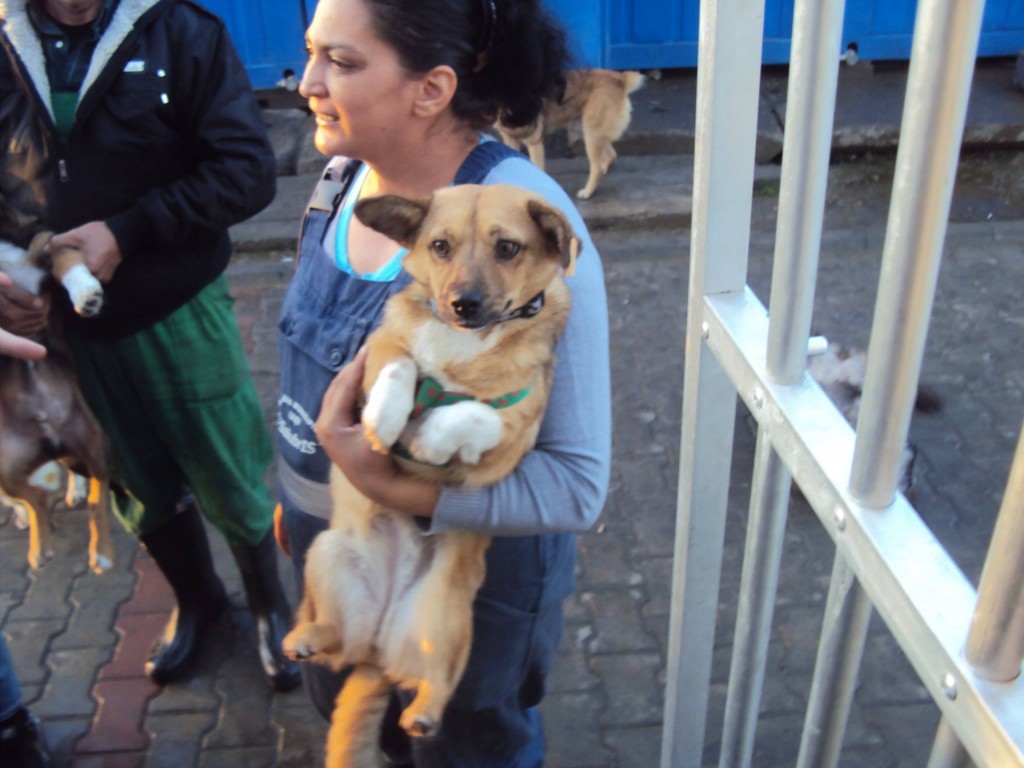 Au plecat și Lucky, Rico, Rysa, Inna, Tess, Flory și Bruny