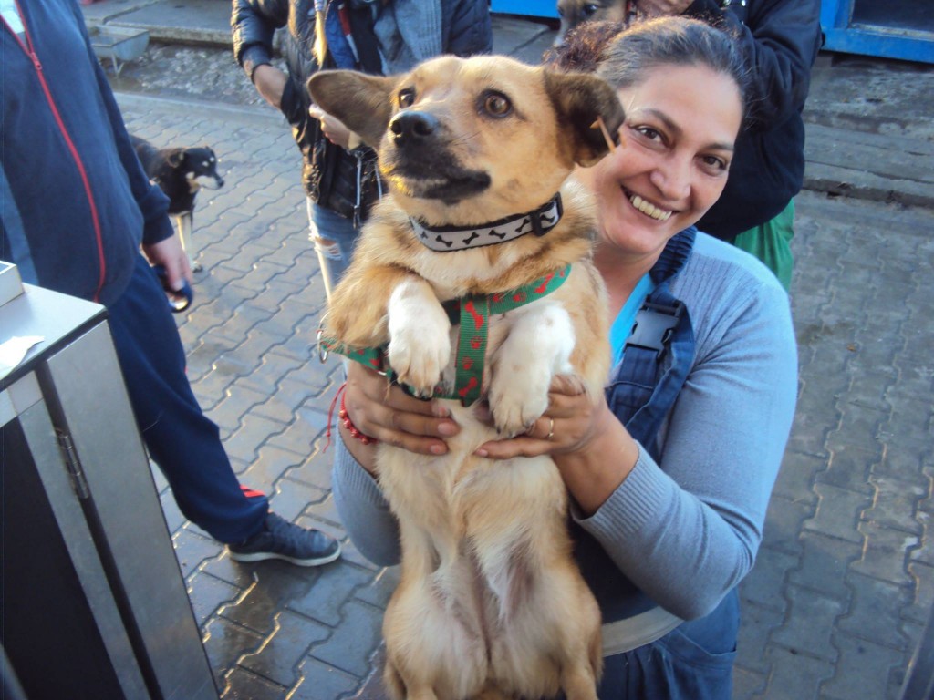 Au plecat și Lucky, Rico, Rysa, Inna, Tess, Flory și Bruny