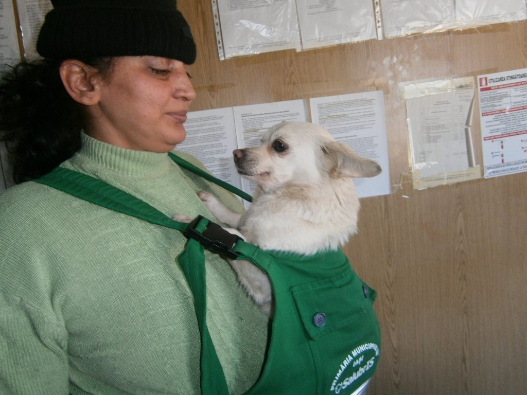 Irina cu mascota padocului - Albinuța