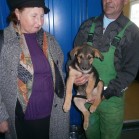 Adopții, decembrie 2015