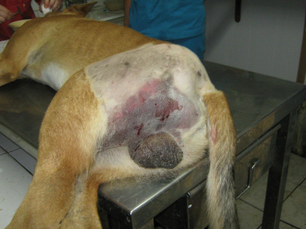 Hunter, caz dramatic