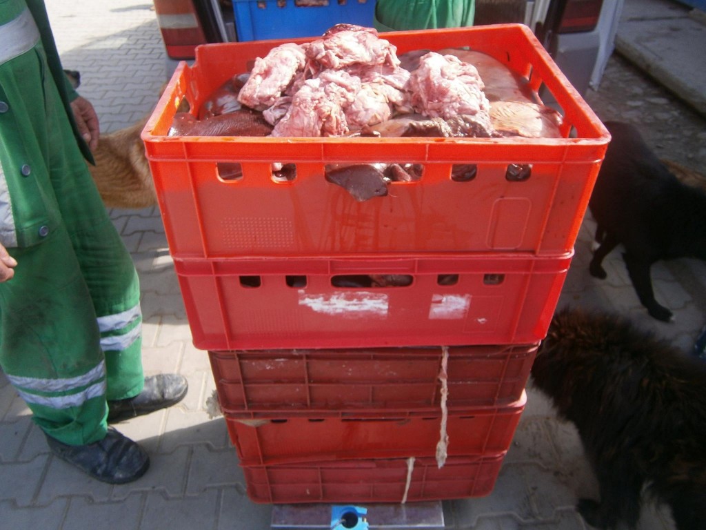 Din nou donații, 260 kg de carne