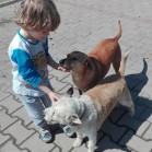 Părinți extraordinari cu copii pe măsură
