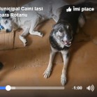 Ioana cea „vorbăreață”