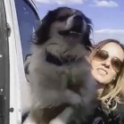 VIDEO – Drum bun, copilași!