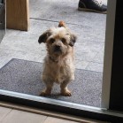 Alice, în noua familie!