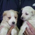 Ana și Noua vor să petreacă Revelionul cu voi!