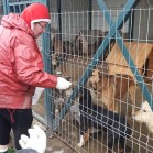 Voluntariat – sâmbătă, 25 februarie 2017