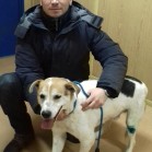 Un „moșneguț” tratat de tumoră crescută pe gingie