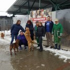 Voluntariat – sâmbătă, 18 februarie 2017