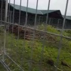 VIDEO din Adăpostul municipal Iași, 30 martie 2017