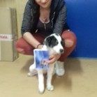 Adopții, mai 2017