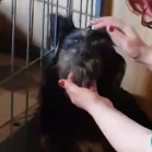 VIDEO - Prietenia se câștigă!