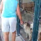 Musafiri din Suedia la adăpost