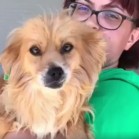 VIDEO - Cassie adoptată