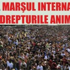 marș pentru drepturile ființelor non umane