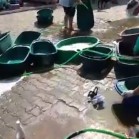 VIDEO din adăpost, 9 septembrie 2017