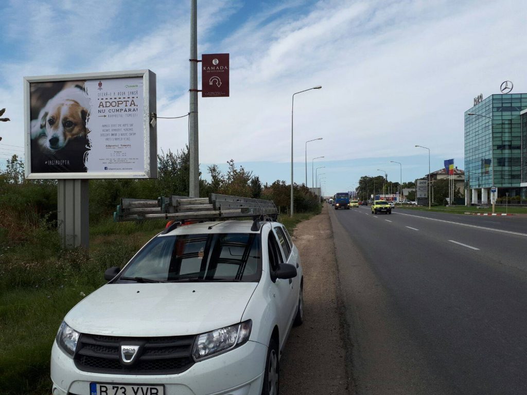 Primăria Municipiului Iași și Salubris SA susțin o campanie de încurajare a adoptării câinilor fără stăpân