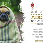 Primăria Municipiului Iași și Salubris SA susțin o campanie de încurajare a adoptării câinilor fără stăpân