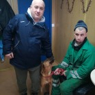 Bella, Febus și Rona, adoptați la începutul anului