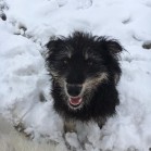 Marin și Rozi!