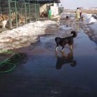 Vremea e mult mai bună, soarele a mai topit din zăpada rămasă pe alei.