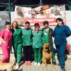 4 aprilie, Ziua Internaţională a Animalelor fără Stăpân