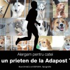 Adoptă un prieten de la Adăpost Tomești