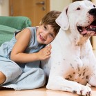 Pași în adopția unui câine • Gândiți-vă bine!