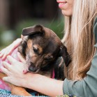Pași în adopția unui câine • Aducerea câinelui acasă